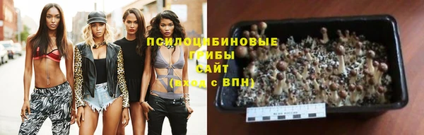 прущие крисы Осинники