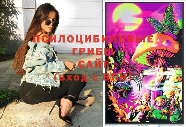 прущие крисы Осинники