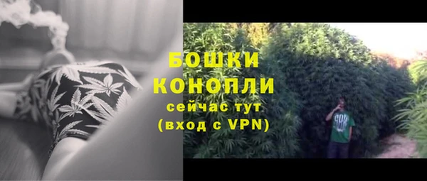 прущие крисы Осинники