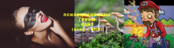 шишки Остров