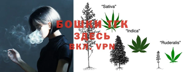 прущие крисы Осинники